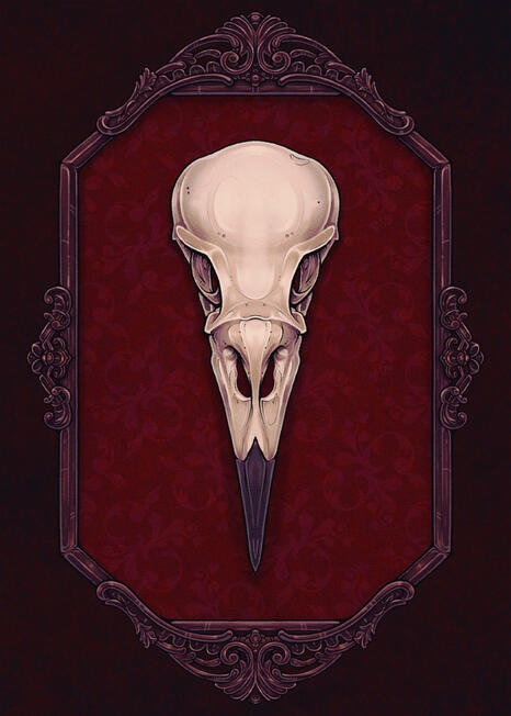 Crow Skull Specimen Crow Skull Specimen