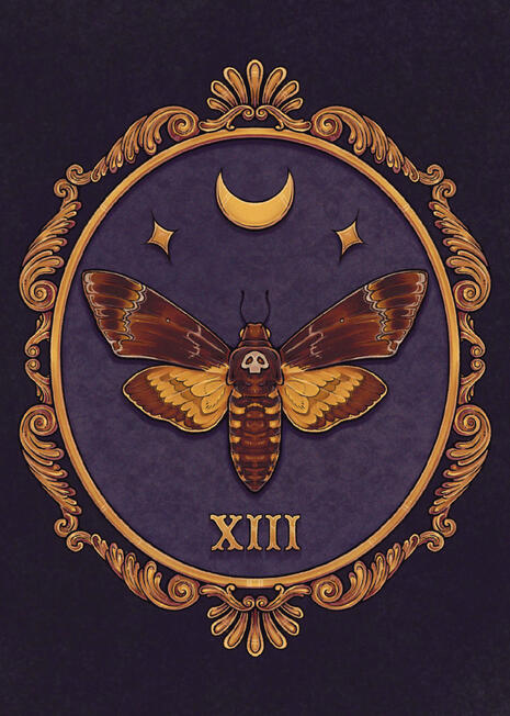 Death's Head Moth Specimen